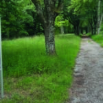 Schöpfungspfad in action